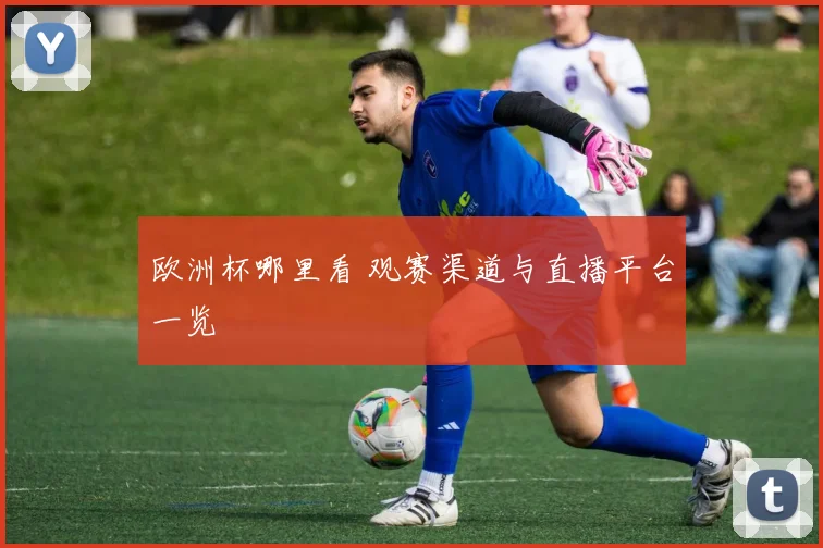 欧洲杯哪里看 观赛渠道与直播平台一览