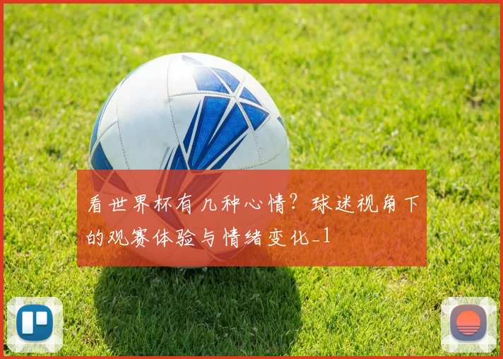 看世界杯有几种心情?球迷视角下的观赛体验与情绪变化_1
